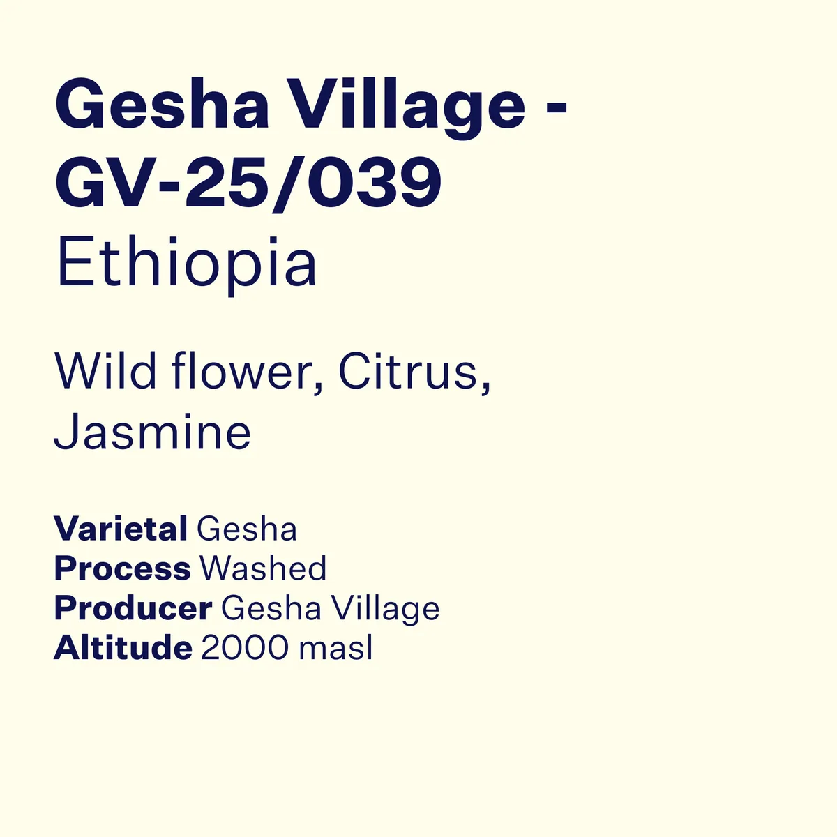 ethiopia gesha village lot gv-25/039 coffee by high note roasters