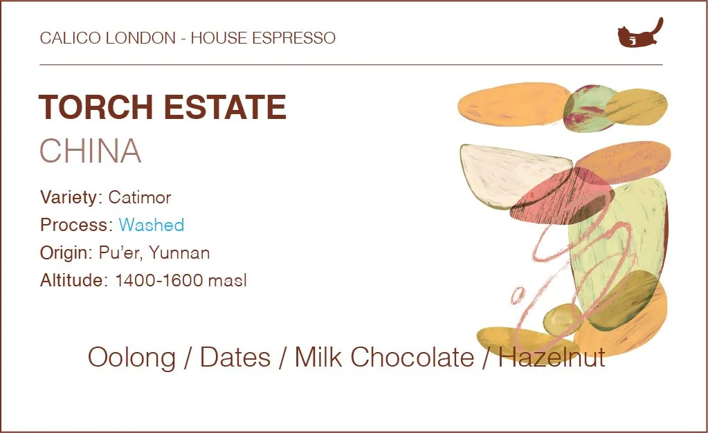 china torch estate catimor house espresso - traditional washed coffee by calico coffee