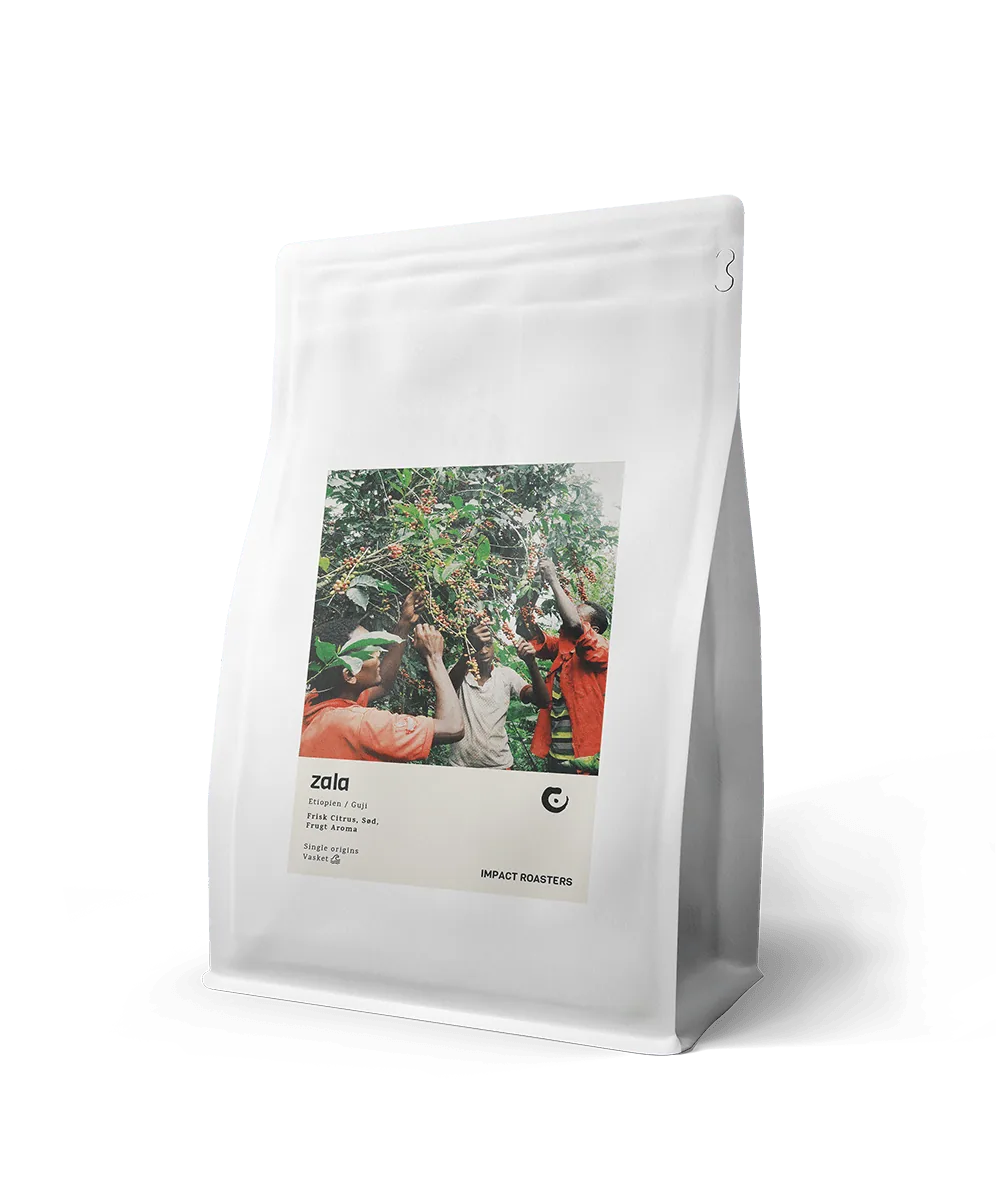 coffee beans - zala - guji - (new) coffee by impact roasters