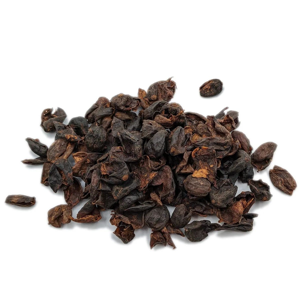 cascara coffee by torréfaction québec