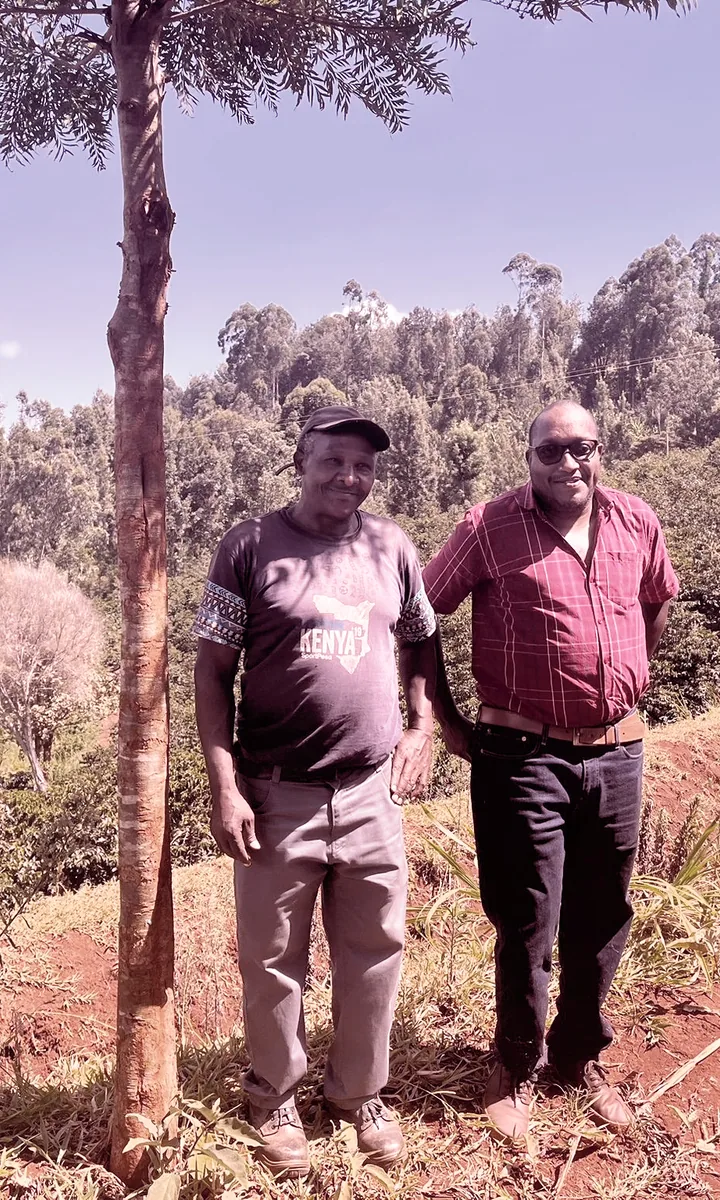 wangera - kenya coffee by casino mocca