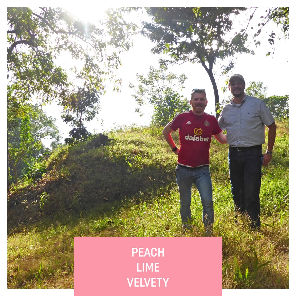 las brumas, natural gesha, el salvador coffee by drop coffee roasters