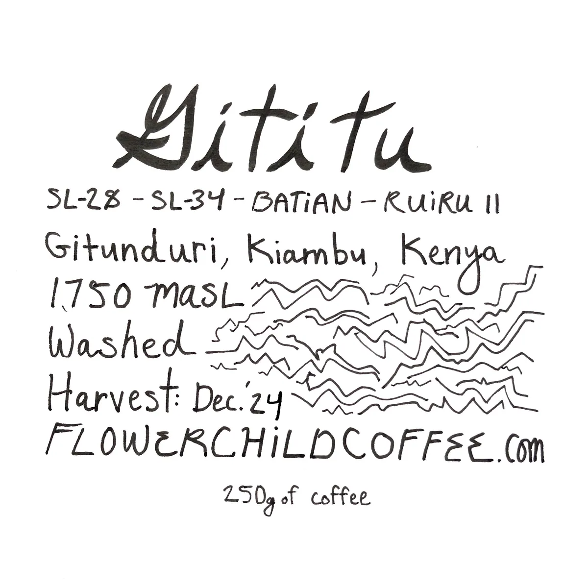gititu - kenya coffee by flower child