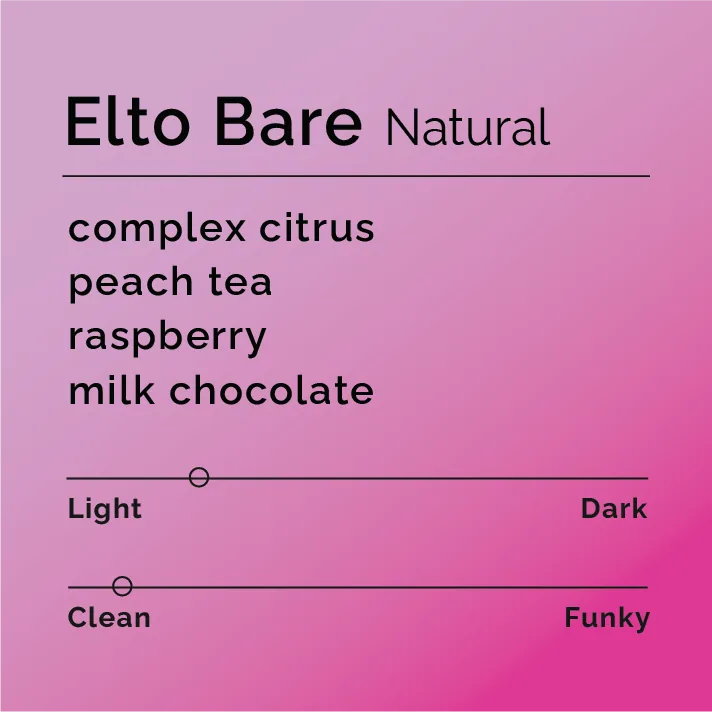 elto bare - natural - ethiopia coffee by black & white coffee roasters