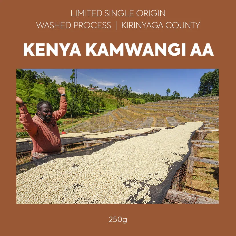single origin - kenya kamwangi aa coffee by toasted coffee roasters