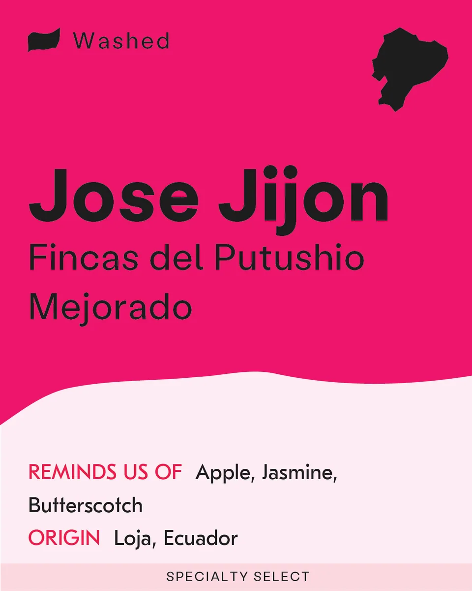 jose jijon - putushio mejorado coffee by sk coffee: whittier