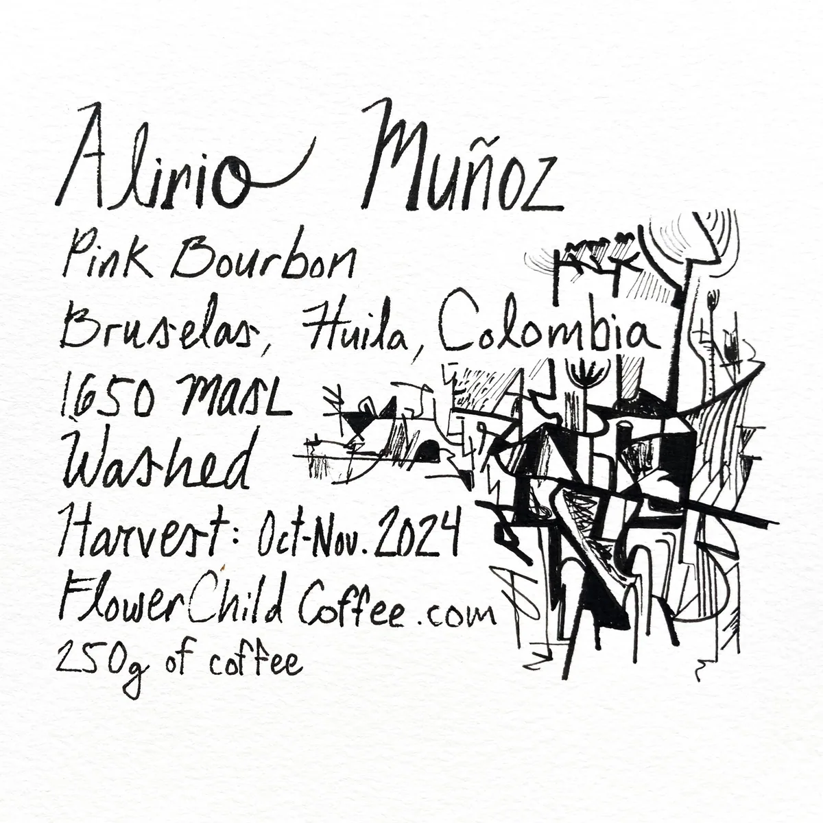 alirio muñoz coffee by flower child