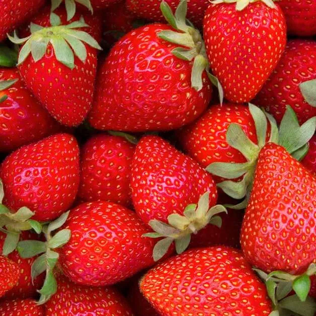 special release: colombia strawberry wine - filter roast coffee by double roasters cafe