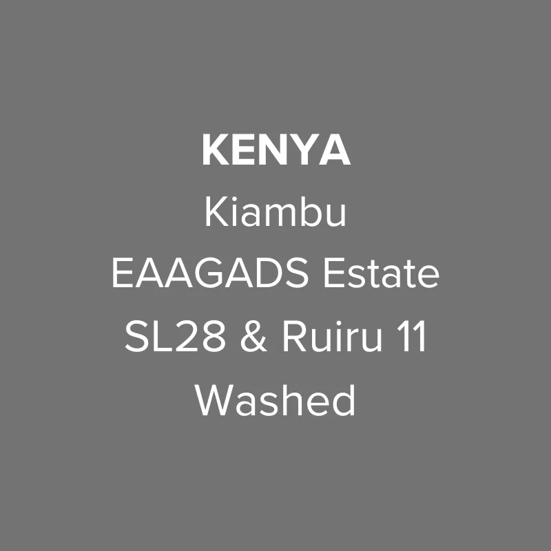 kenya kiambu eaagads estate sl28 & ruiru 11 washed aa top - kenya coffee by oma