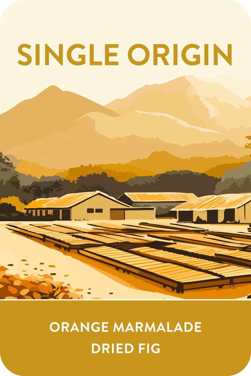 costa rica | finca monte alto coffee by voyager coffee