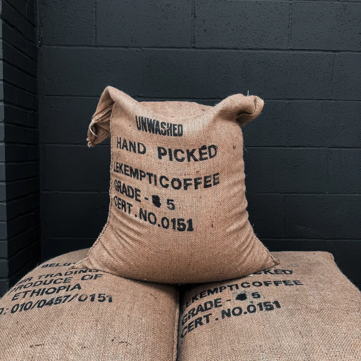 ethiopian lekempti green coffee beans coffee by tropic coffee ltd