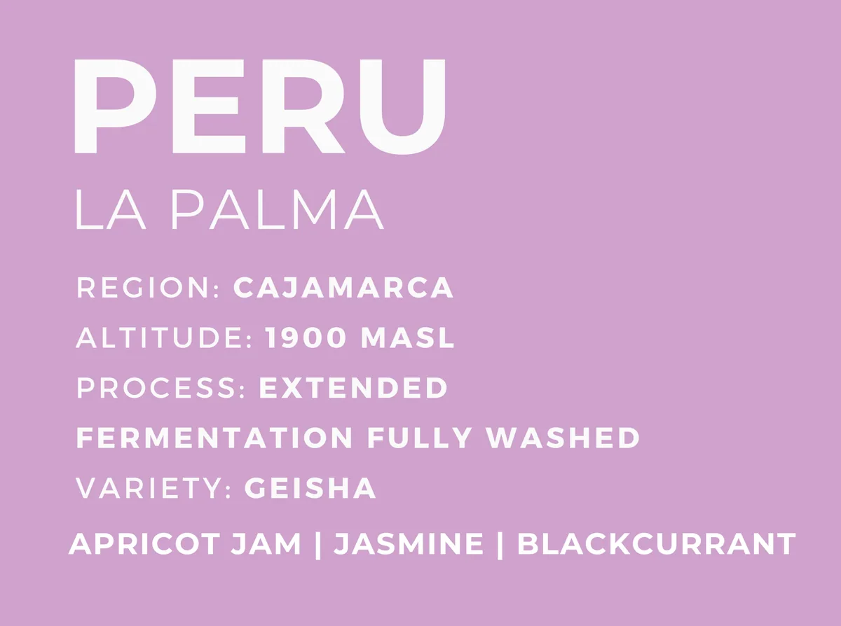 peru la palma - peru coffee by patio coffee roasters