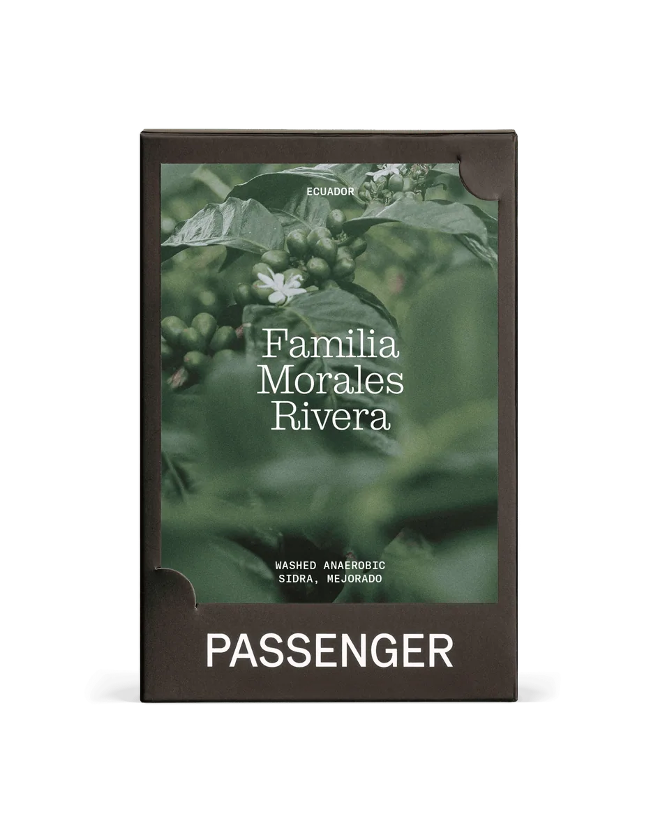 familia morales rivera - washed process - 2022 coffee by passenger / necessary coffee