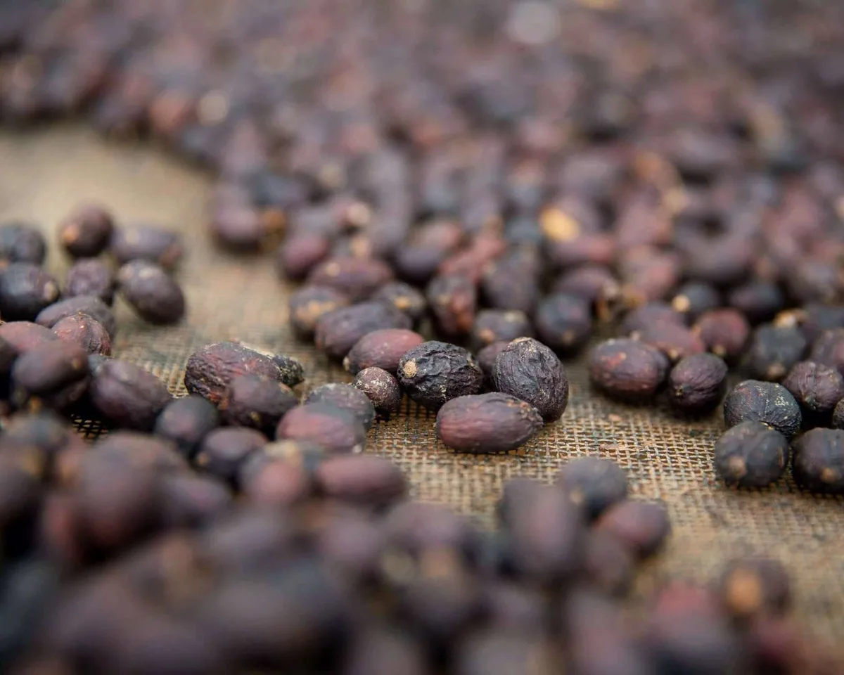 colombia | villamaria natural ea sugarcane coffee by cabana coffee roasters