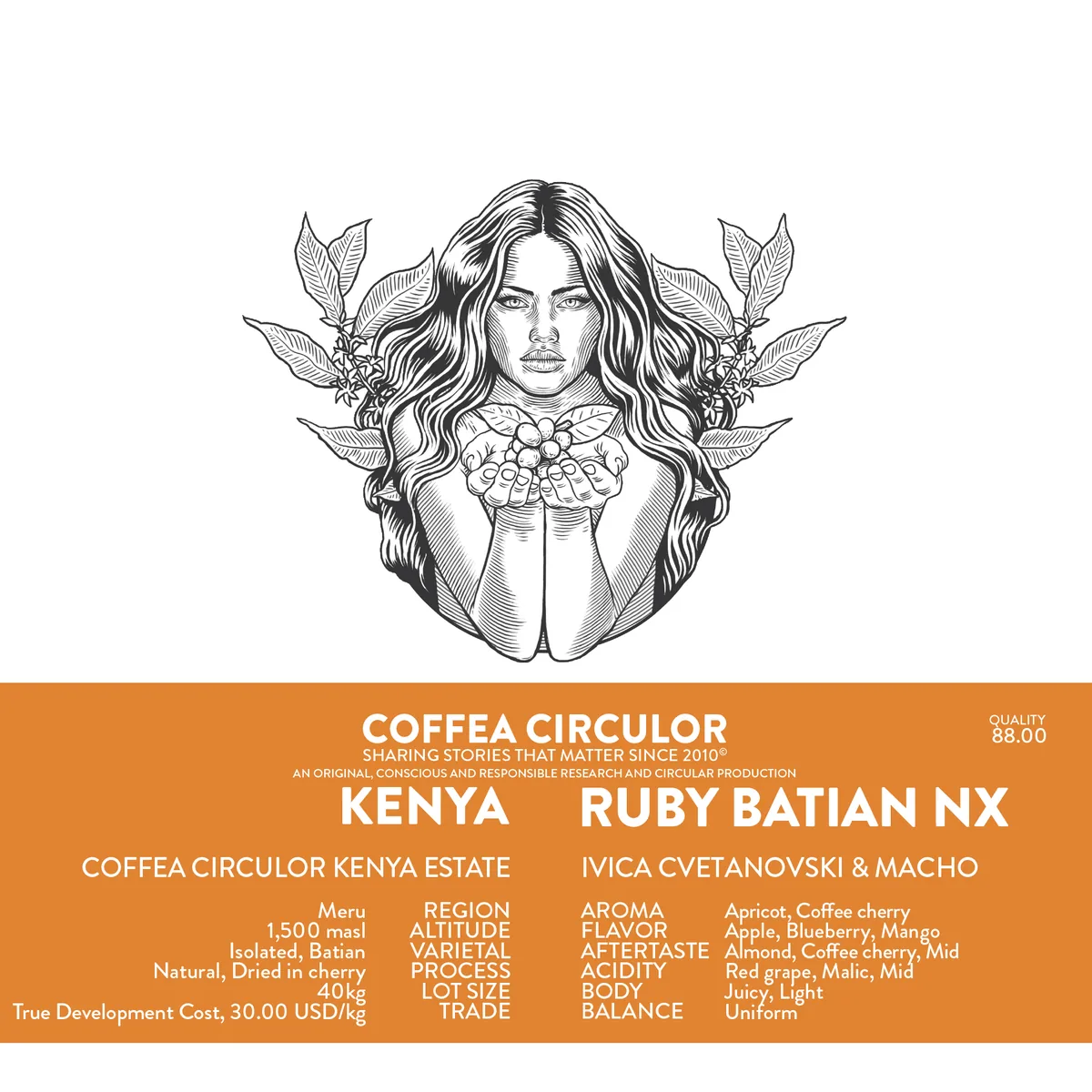 kenya coffea circulor ruby isolated batian natural nx - kenya coffee by coffea circulor