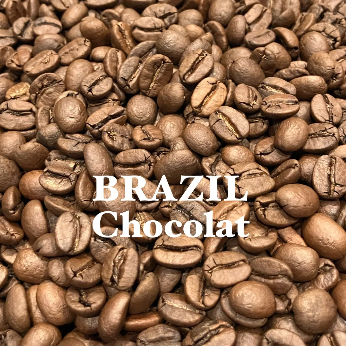 ブラジル・ショコラ 200g/brazil・chocolat coffee by jupiters coffee roasters