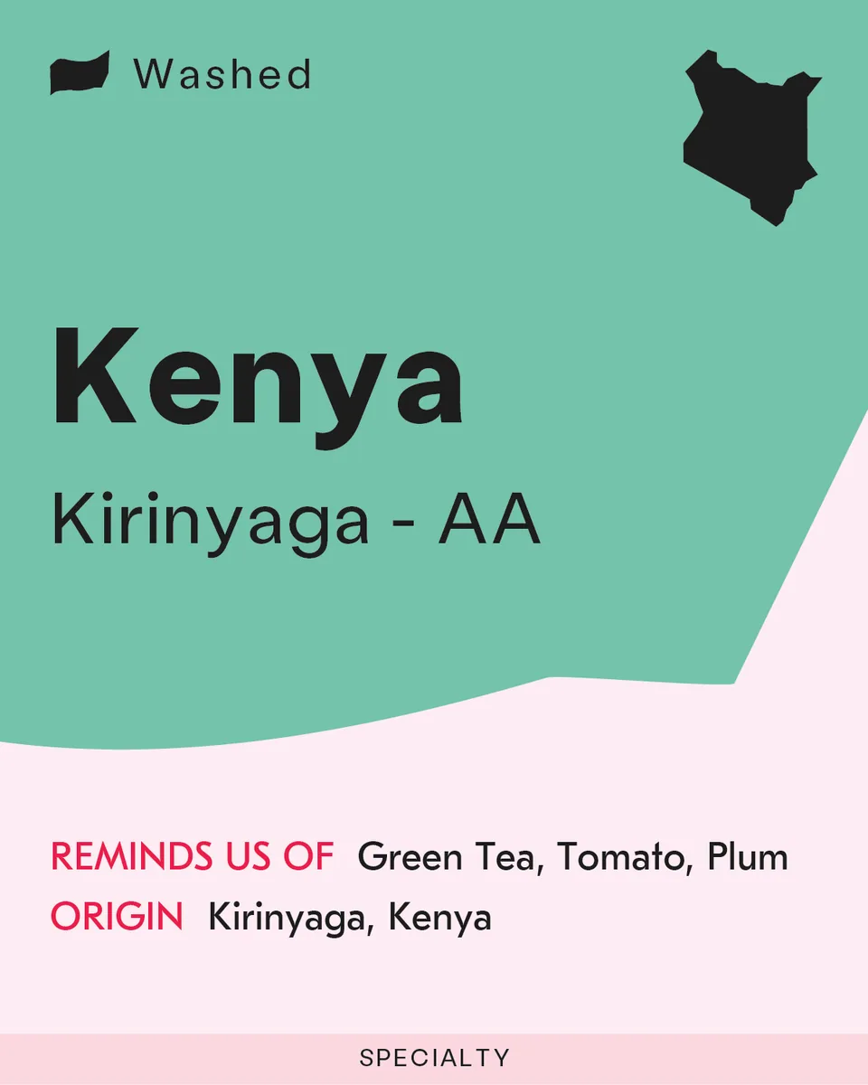 kenya, kirinyaga aa coffee by sk coffee: whittier
