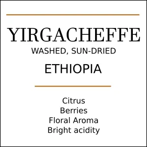 ethiopia yirgacheffe single origin coffee | washed arabica beans coffee by pebble and pine coffee