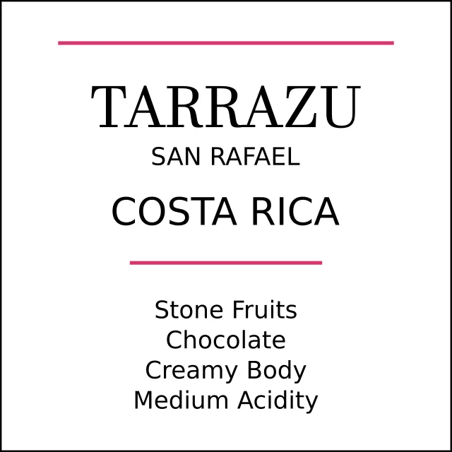 costa rica tarrazu medium roast coffee by pebble and pine coffee