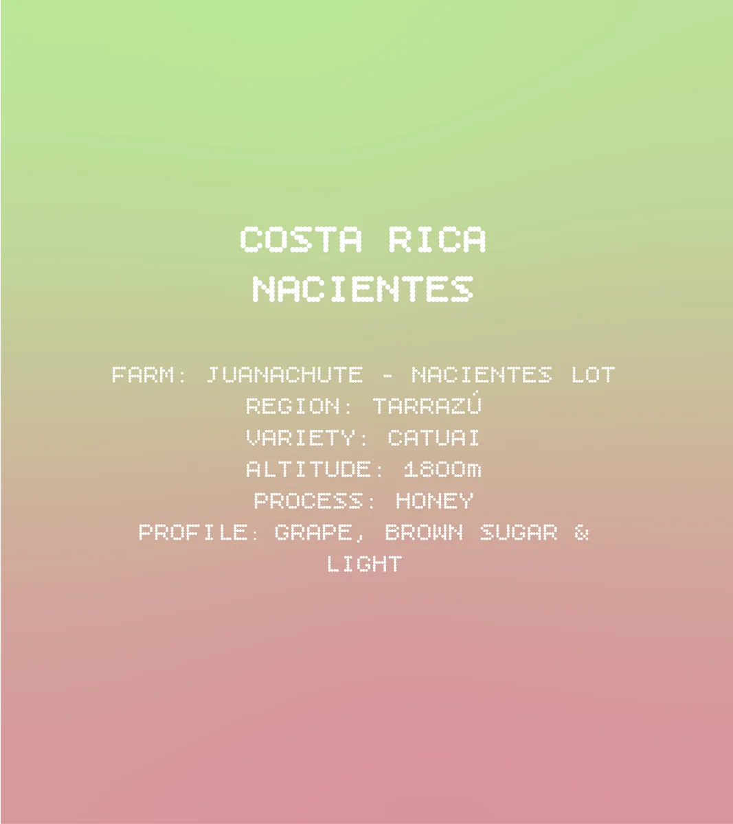 costa rica nacientes coffee by solkant café & roastery