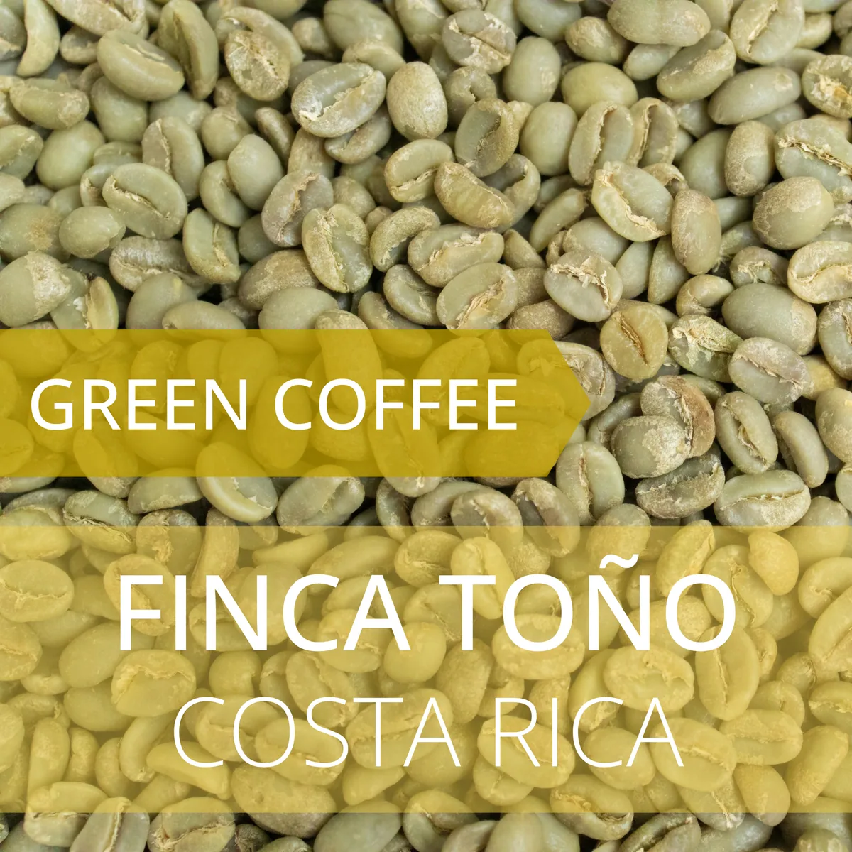 finca toño - costa rica coffee by foundry coffee roasters