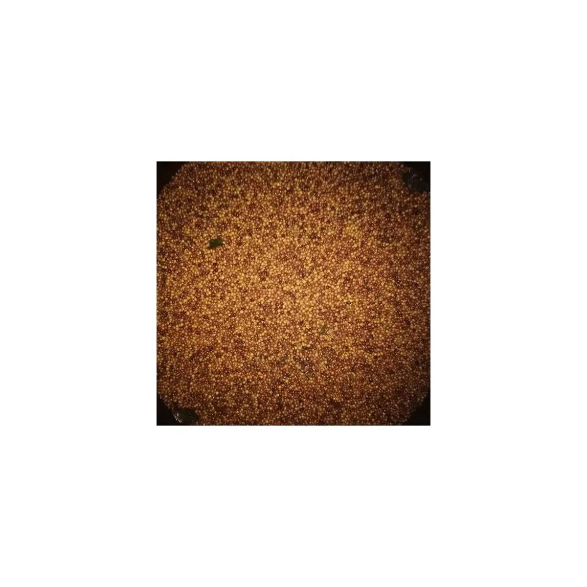 colombia finca la luisa kiwi fermentation, honey process - anaerobic coffee by java roastery