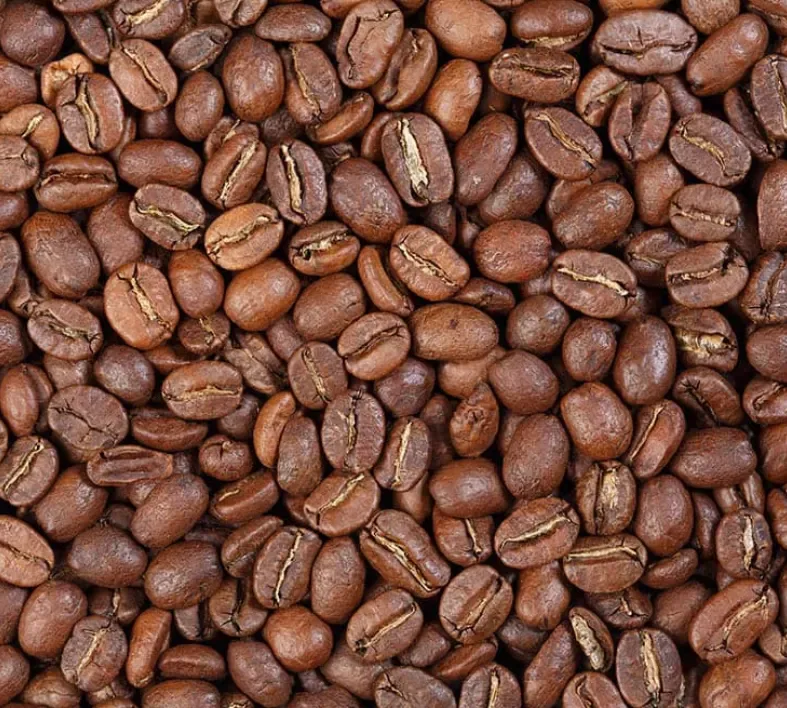 excelsa roasted coffee - indonesia coffee by pt. indonesia specialty coffee