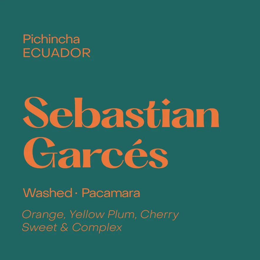ecuador sebastian garces, washed pacamara coffee by subtext coffee roasters