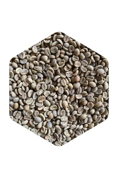ニカラグア ブエノスアイレス農園 coffee by john dee coffee roasters