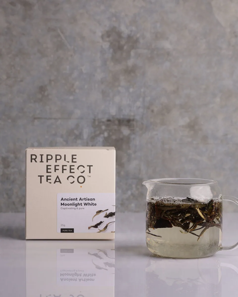 moonlight white tea - yunnan coffee by modus coffee
