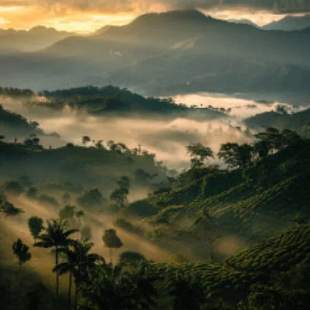 san pablo colombia coffee by martín tostador (café de especialidad)