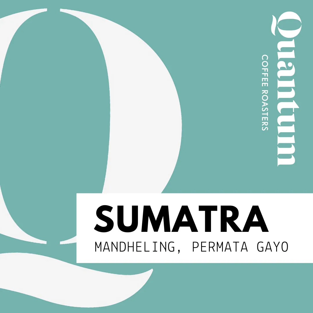sumatra (indonesia) - mandheling, permata gayo coffee by quantum coffee roasters