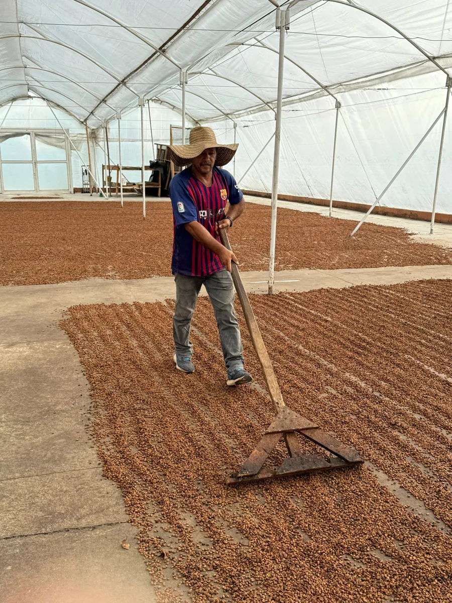 colombia campo hermoso sidra cm washed espresso coffee by passport specialty coffee