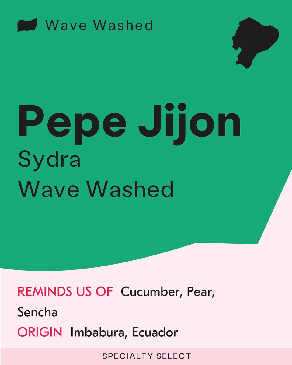 pepe jijon - sydra wave washed coffee by sk coffee: whittier