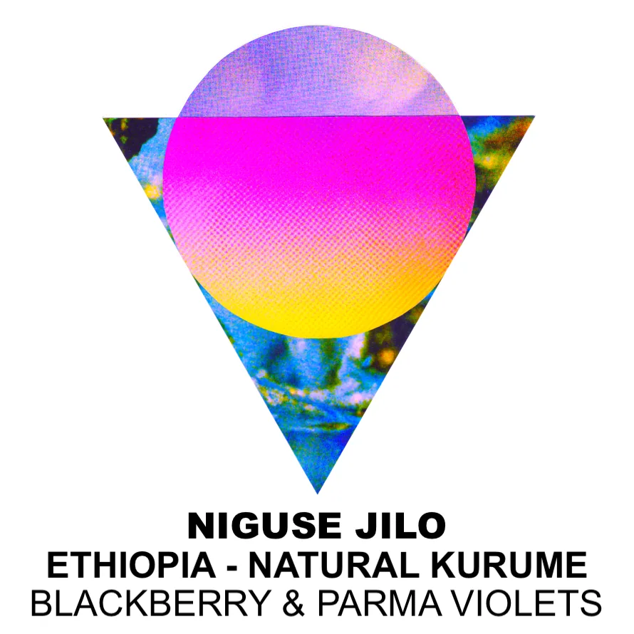 niguse jilo – ethiopia coffee by ancoats coffee co.