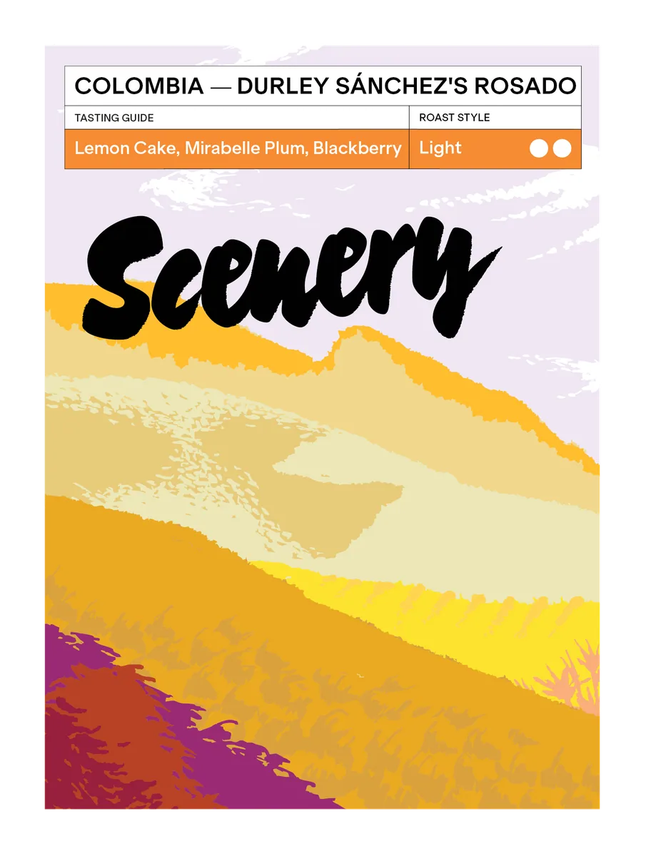 colombia - durley sánchez's rosado coffee by scenery