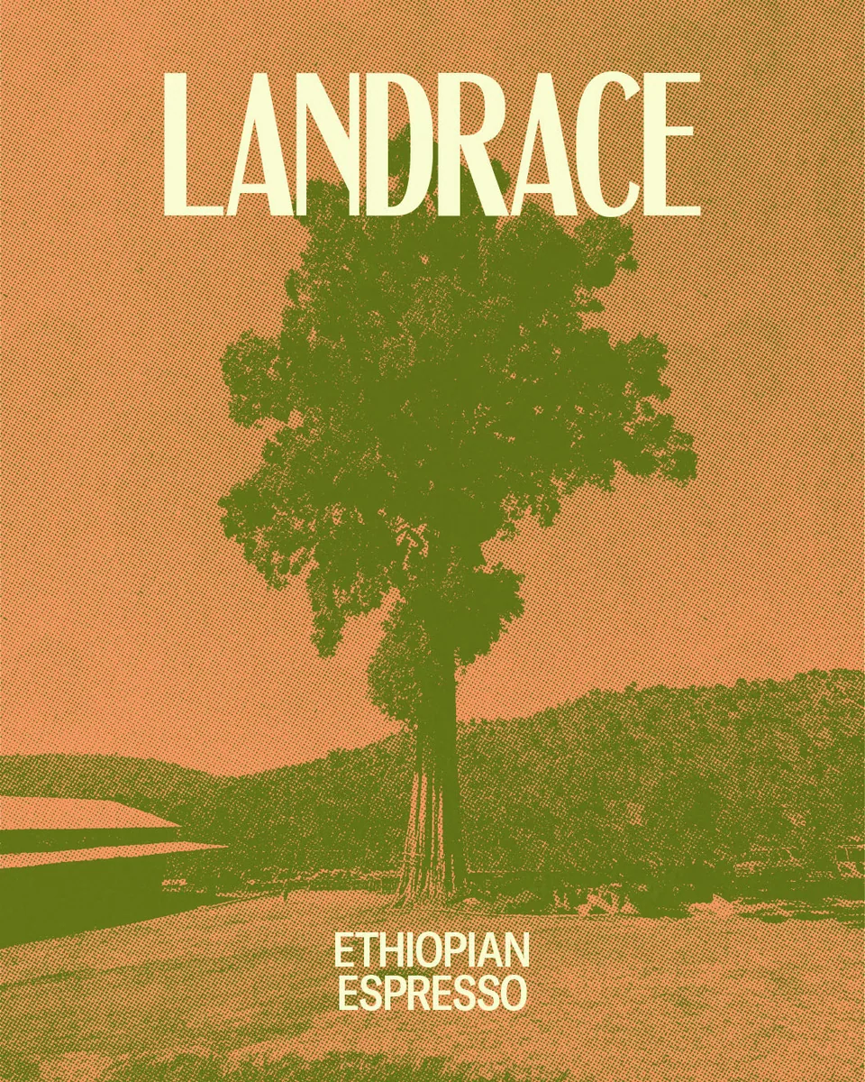 landrace coffee by red bank coffee roasters