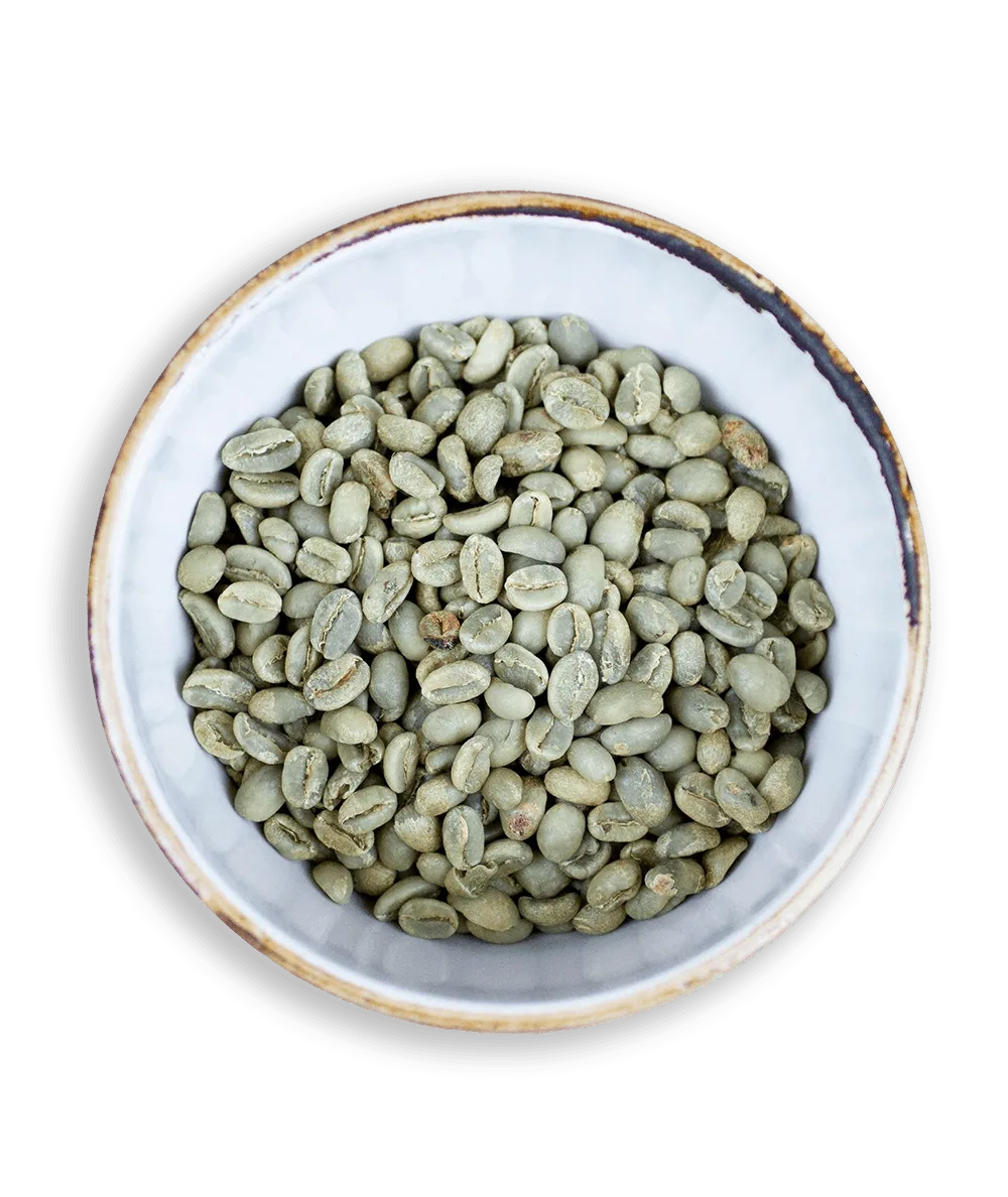 green coffee beans coffee by impact roasters