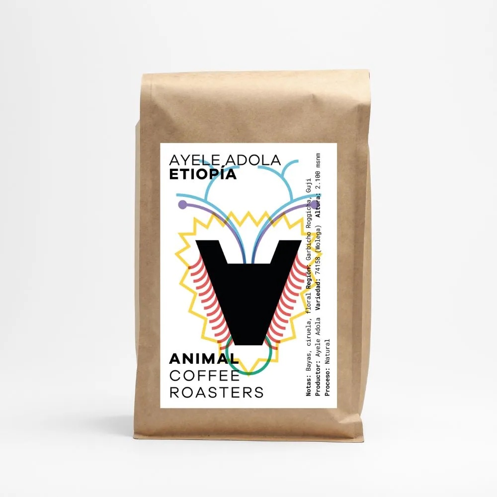 etiopía ayele adola coffee by animal coffee roasters - café de especialidad - specialty coffee