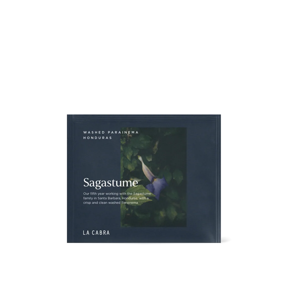 sagastume washed - single serve coffee by la cabra