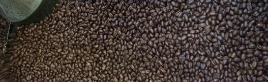 kenya coffee peaberry coffee by weaver's coffee & tea - san rafael cafe