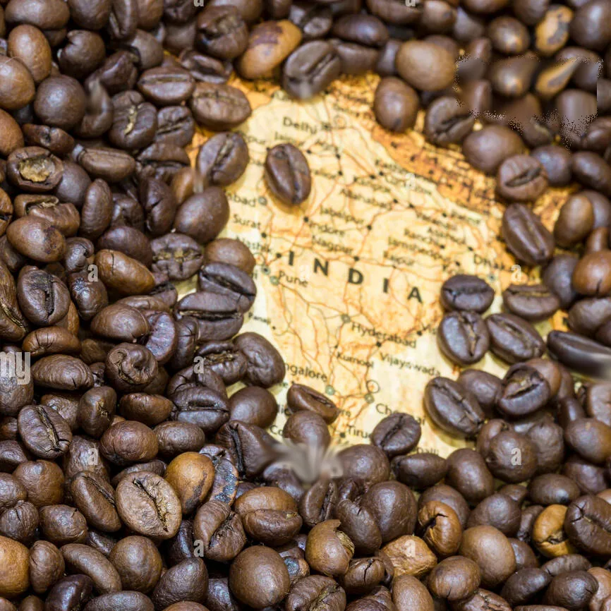 india monsooned malabar single origin - india coffee by mercara gold estate coffee plantation