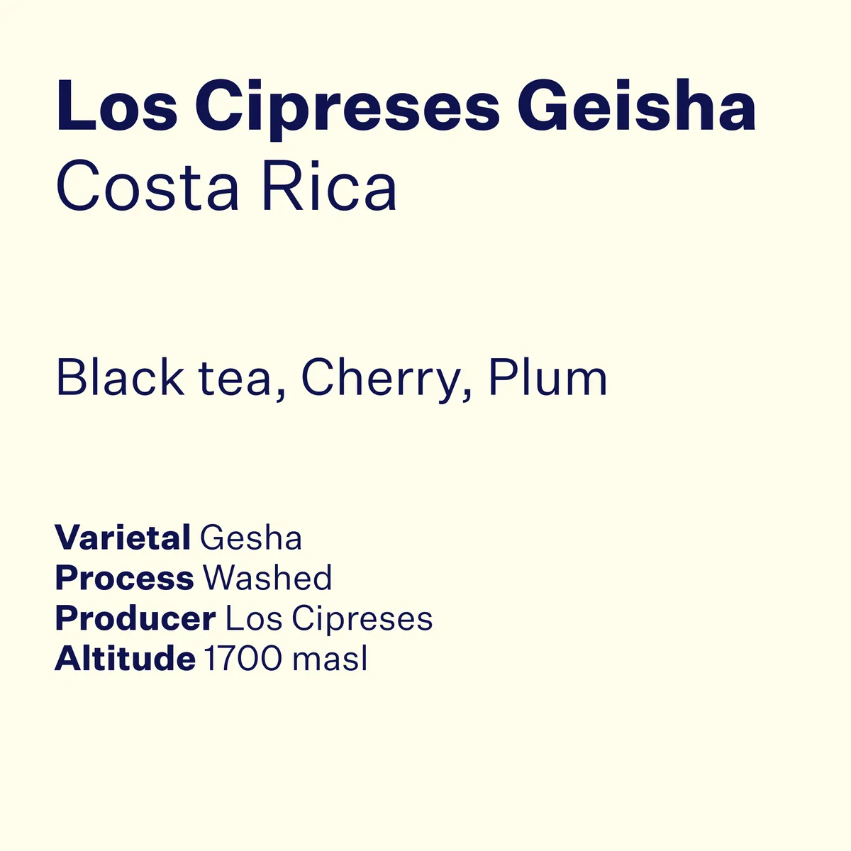 costa rica los cipreses geisha coffee by high note roasters