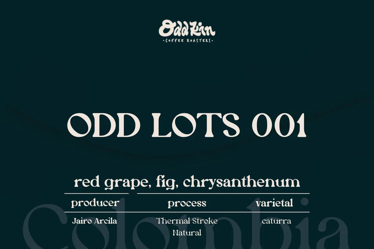 odd lots 001 (thermal stroke natural) coffee by oddkin coffee roasters