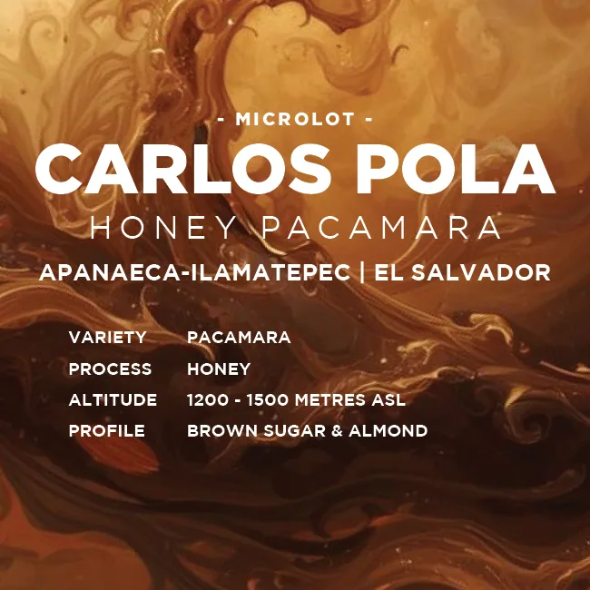 el salvador: carlos pola - el salvador coffee by muttley & jack's coffee roasters