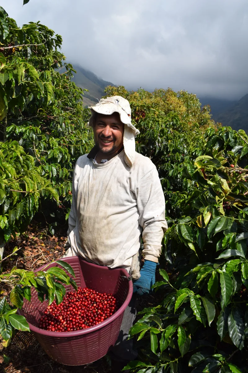 costa rica don claudio natural espresso coffee by passport specialty coffee