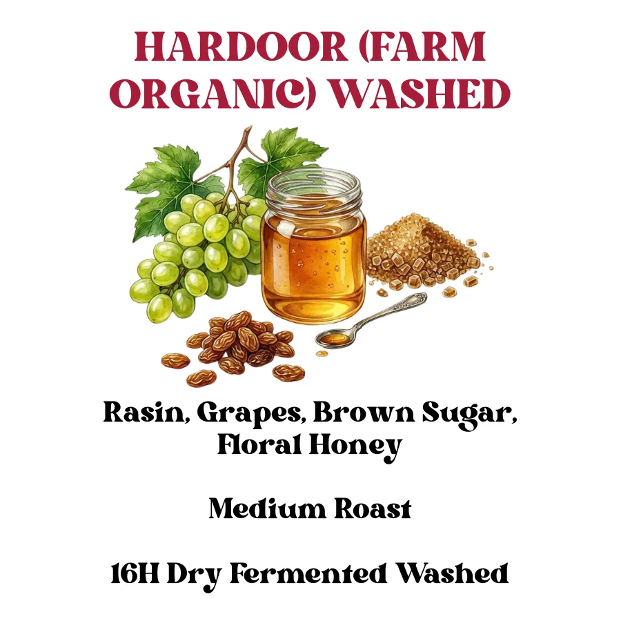 hardoor estate (farm organic ) washed coffee by rossette coffee lab - premium specialty coffee roasters & wholesalers in delhi, india