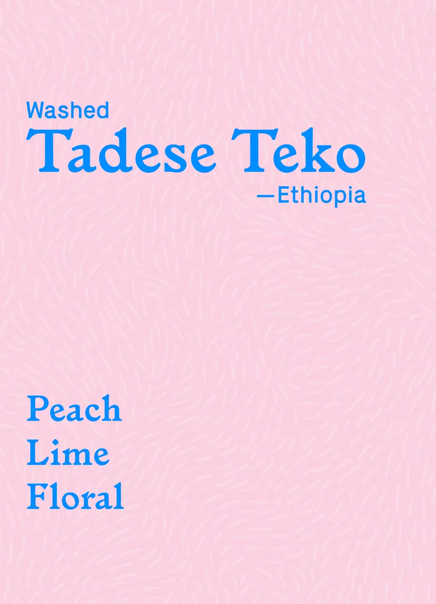 tadese teko coffee by little wolf coffee