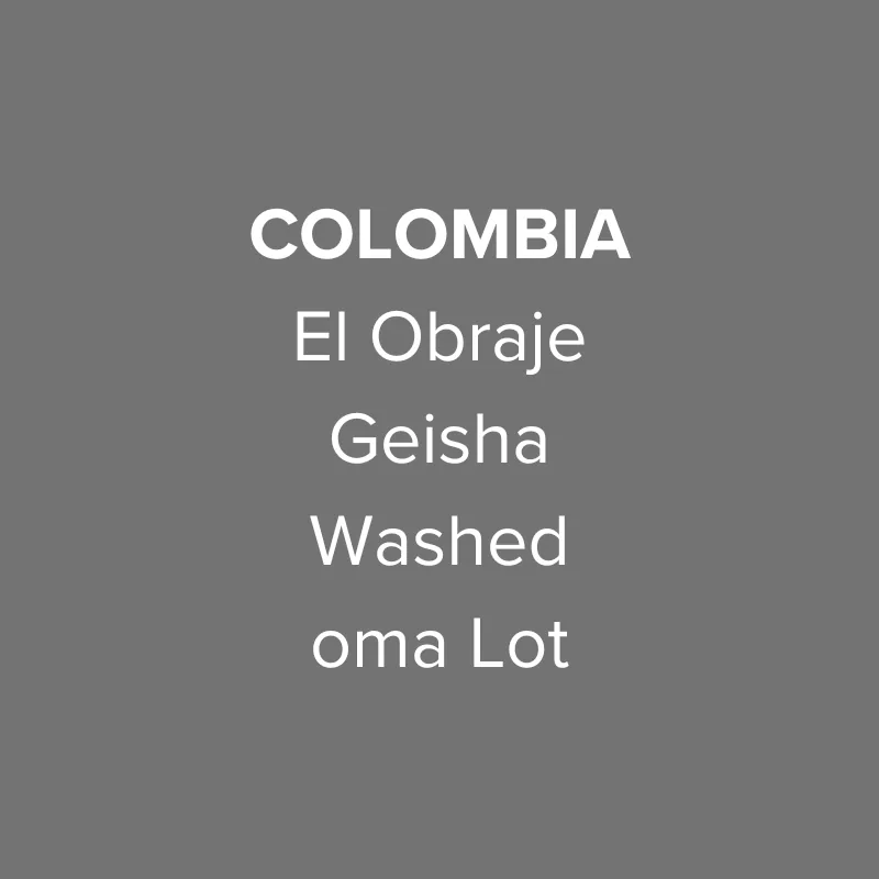 colombia el obraje geisha washed oma lot - colombia coffee by oma
