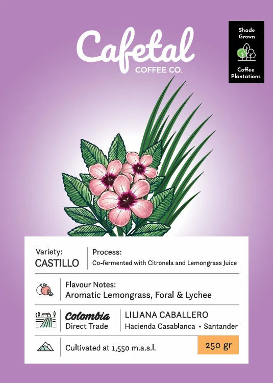 castillo aromatic coffee beans - colombia coffee by cafetal coffee co.
